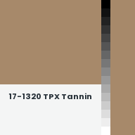 Color chip: 17-1320 TPX Tannin