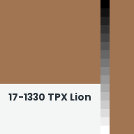 Color chip: 17-1330 TPX Lion