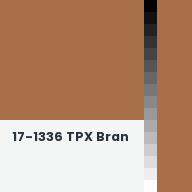 Color chip: 17-1336 TPX Bran