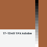 Color chip: 17-1340 TPX Adobe