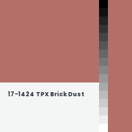 Color chip: 17-1424 TPX Brick Dust