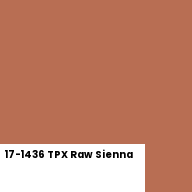 Color chip: 17-1436 TPX Raw Sienna