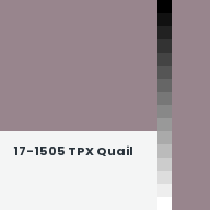 Color chip: 17-1505 TPX Quail
