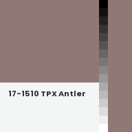 Color chip: 17-1510 TPX Antler