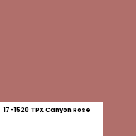 Color chip: 17-1520 TPX Canyon Rose