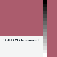 Color chip: 17-1522 TPX Mauvewood