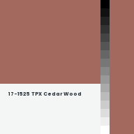 Color chip: 17-1525 TPX Cedar Wood