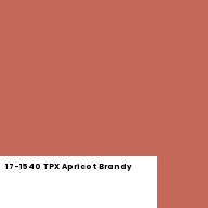 Color chip: 17-1540 TPX Apricot Brandy