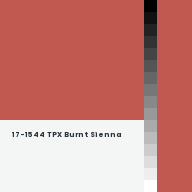 Color chip: 17-1544 TPX Burnt Sienna