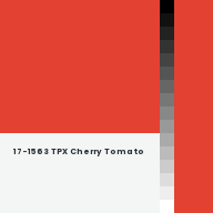 Color chip: 17-1563 TPX Cherry Tomato