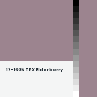 Color chip: 17-1605 TPX Elderberry