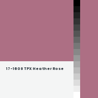 Color chip: 17-1608 TPX Heather Rose