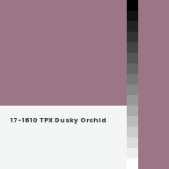 Color chip: 17-1610 TPX Dusky Orchid