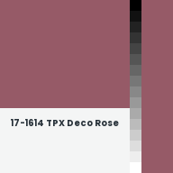Color chip: 17-1614 TPX Deco Rose