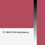 Color chip: 17-1633 TPX Holly Berry