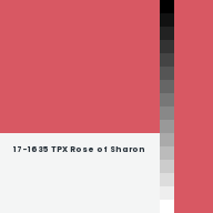 Color chip: 17-1635 TPX Rose of Sharon