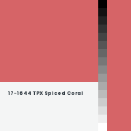 Color chip: 17-1644 TPX Spiced Coral