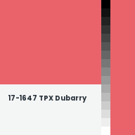 Color chip: 17-1647 TPX Dubarry