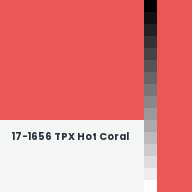 Color chip: 17-1656 TPX Hot Coral
