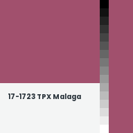 Color chip: 17-1723 TPX Malaga