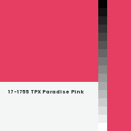 Color chip: 17-1755 TPX Paradise Pink