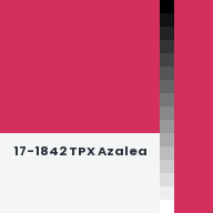 Color chip: 17-1842 TPX Azalea