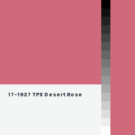 Color chip: 17-1927 TPX Desert Rose