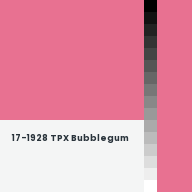 Color chip: 17-1928 TPX Bubblegum