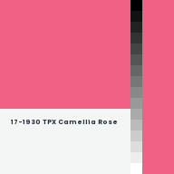 Color chip: 17-1930 TPX Camellia Rose