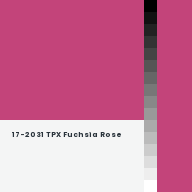 Color chip: 17-2031 TPX Fuchsia Rose