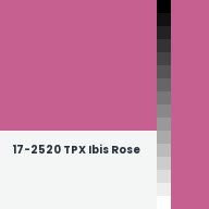 Color chip: 17-2520 TPX Ibis Rose