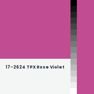 Color chip: 17-2624 TPX Rose Violet