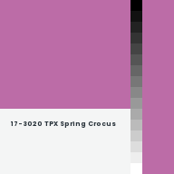 Color chip: 17-3020 TPX Spring Crocus