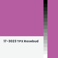 Color chip: 17-3023 TPX Rosebud