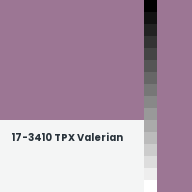 Color chip: 17-3410 TPX Valerian