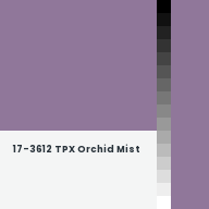 Color chip: 17-3612 TPX Orchid Mist