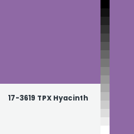 Color chip: 17-3619 TPX Hyacinth