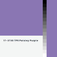 Color chip: 17-3730 TPX Paisley Purple