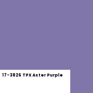 Color chip: 17-3826 TPX Aster Purple