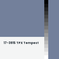 Color chip: 17-3915 TPX Tempest