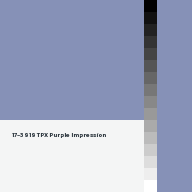 Color chip: 17-3919 TPX Purple Impression