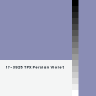 Color chip: 17-3925 TPX Persian Violet