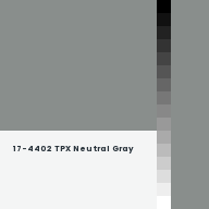 Color chip: 17-4402 TPX Neutral Gray