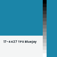 Color chip: 17-4427 TPX Bluejay