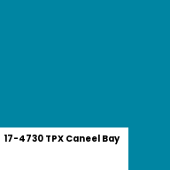 Color chip: 17-4730 TPX Caneel Bay