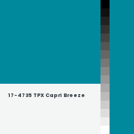 Color chip: 17-4735 TPX Capri Breeze