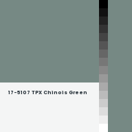 Color chip: 17-5107 TPX Chinois Green