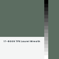 Color chip: 17-6009 TPX Laurel Wreath