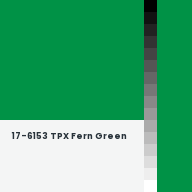 Color chip: 17-6153 TPX Fern Green