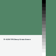 Color chip: 17-6219 TPX Deep Grass Green